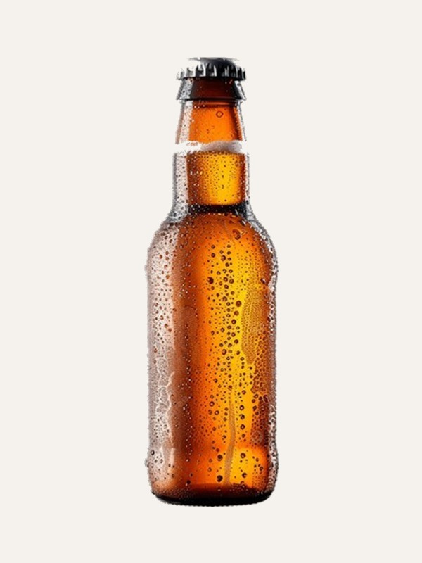 Dogfish Head IPA 6pk